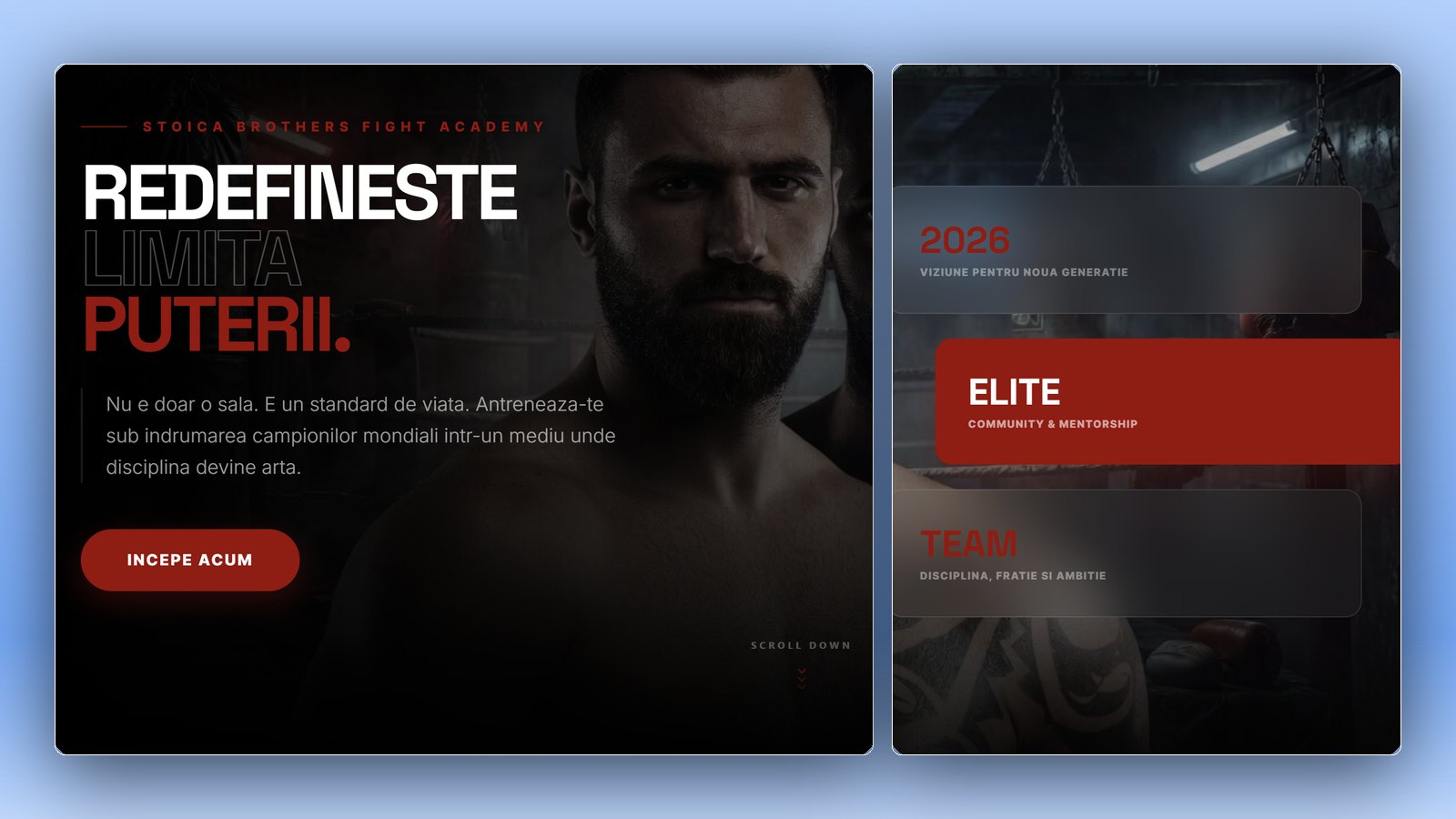 Team Stoica: detalii de design