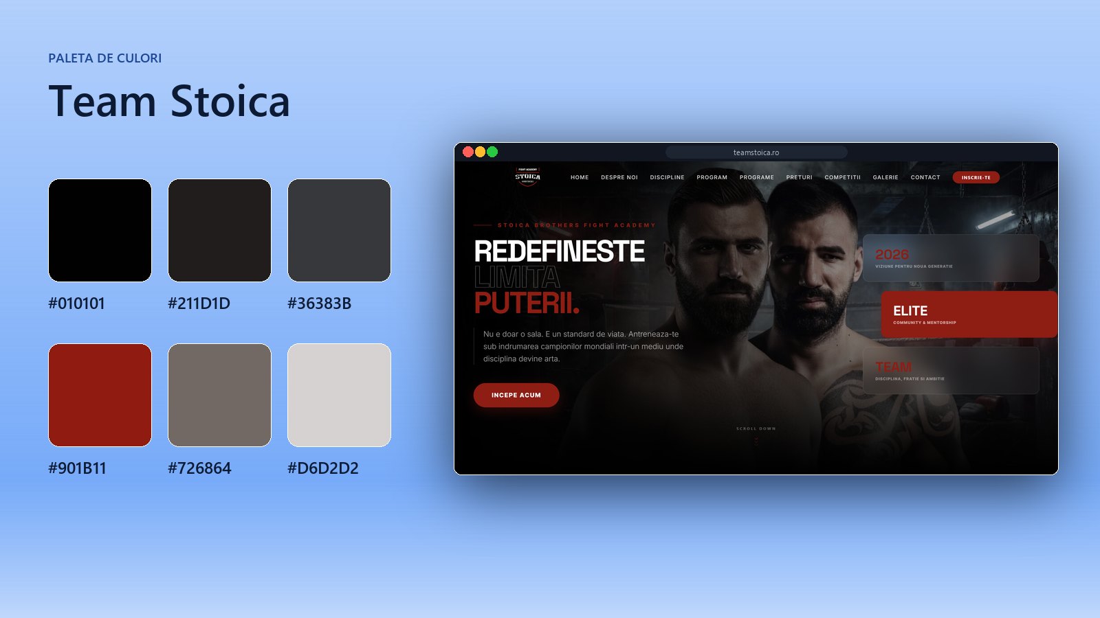 Team Stoica: paleta de culori